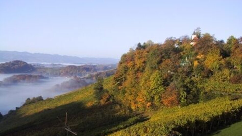 Hiking route Berghausener Rundwanderweg 2 - Touren-Impression #2.1 | © TVB Südsteiermark/Freundorfer