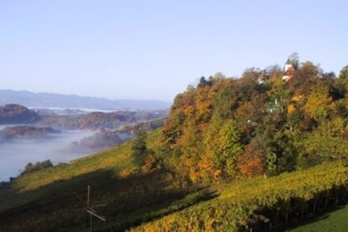 Hiking route Berghausener Rundwanderweg 2 - Touren-Impression #1 | © TVB Südsteiermark/Freundorfer