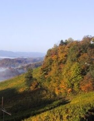 berghausener rundwanderweg 2_img_12802092 | Freundorfer | © TVB Südsteiermark/Freundorfer