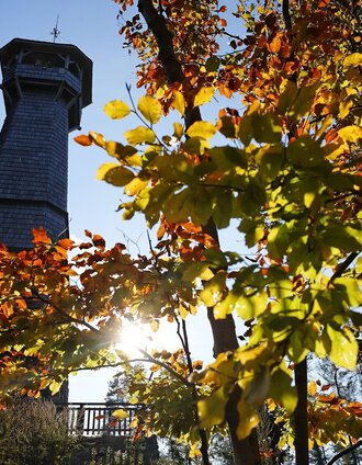 Ringwarte im Licht der herbstlichen Sonne © TV Hartbergerland, Bernhard Bergmann | Bernhard Bergmann | © Oststeiermark Tourismus