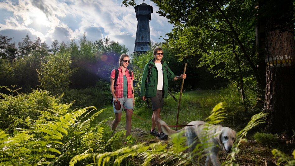 Theme path Lantern path, Hartberg - Touren-Impression #2.2 | © Oststeiermark Tourismus