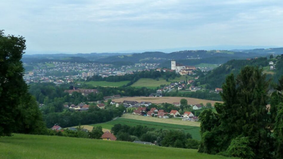 Bike Riding Tour through apple country - Touren-Impression #2.5 | © Oststeiermark Tourismus