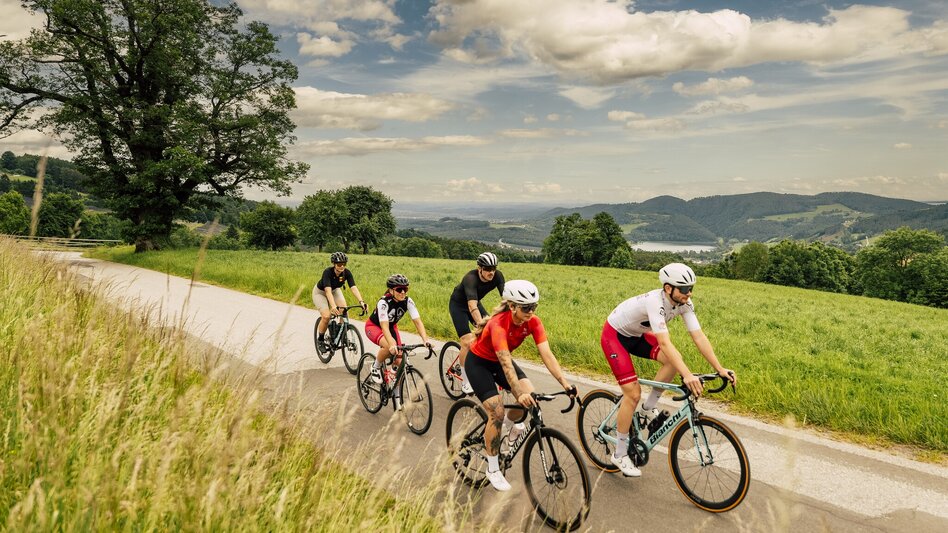 Bike Riding Tour through apple country - Touren-Impression #2.1