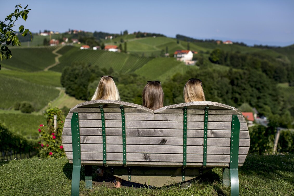 Hiking route Ratsch-Ottenberg Weinwanderweg (Wine Trail) - Touren-Impression #1 | © TV Südsteiermark | Tom Lamm
