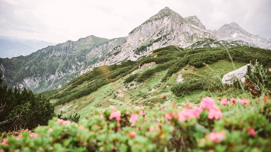 Mehrtagestouren Guttenberghaus - Ramsau-Ort | Dachstein Sonnen-Runde: Etappe 03 - Touren-Impression #2.5 | © Erlebnisregion Schladming-Dachstein