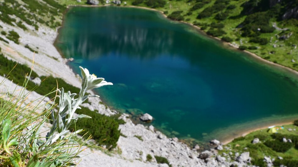 Mehrtagestouren Guttenberghaus - Ramsau-Ort | Dachstein Sonnen-Runde: Etappe 03 - Touren-Impression #2.4 | © Erlebnisregion Schladming-Dachstein
