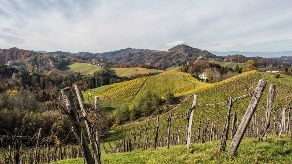 Wanderung Leutschacher Weinwanderweg mit Baukultur - Touren-Impression #2.1 | © Baukultur