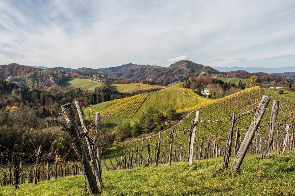 Wanderung Leutschacher Weinwanderweg mit Baukultur - Touren-Impression #1 | © Baukultur