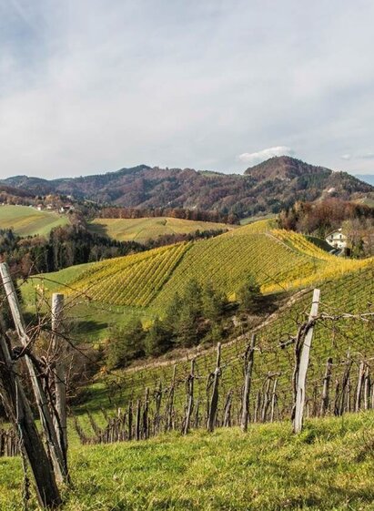 leutschacher weinwanderweg mit baukultur_img_22984410 | © Baukultur | (c) Hierzer | © Baukultur