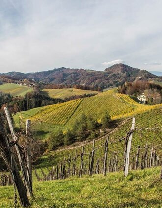 leutschacher weinwanderweg mit baukultur_img_22984410 | (c) Hierzer | © Baukultur