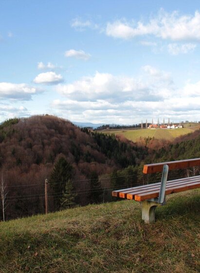 arnfelser wege - eichberg (e2)_img_12534035 | © Ulrike Elsneg | Ulrike Elsneg | © Ulrike Elsneg