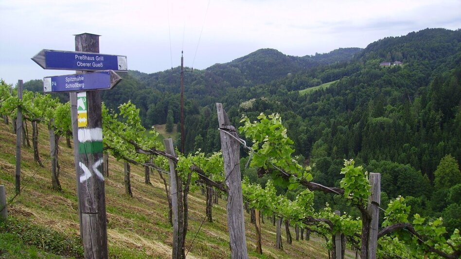 Wanderung Kleeblattwanderweg Nr. 1 - Wandern in Leutschach a.d.W. - Touren-Impression #2.1 | © TV Südsteiermark