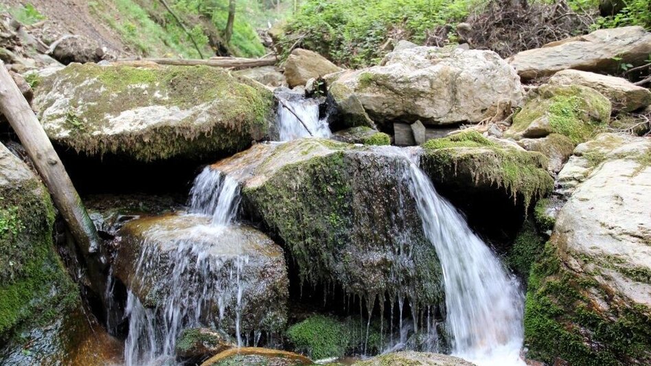 Wanderung Kleeblattwanderweg Nr. 1 - Wandern in Leutschach a.d.W. - Touren-Impression #2.3 | © TV Südsteiermark