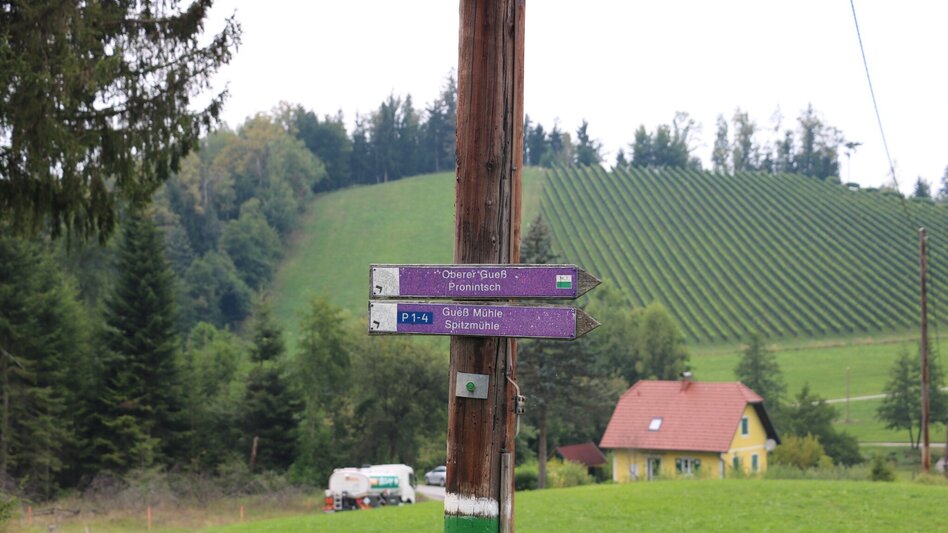 Wanderung Kleeblattwanderweg Nr. 1 - Wandern in Leutschach a.d.W. - Touren-Impression #2.4 | © Elisabeth Temmel