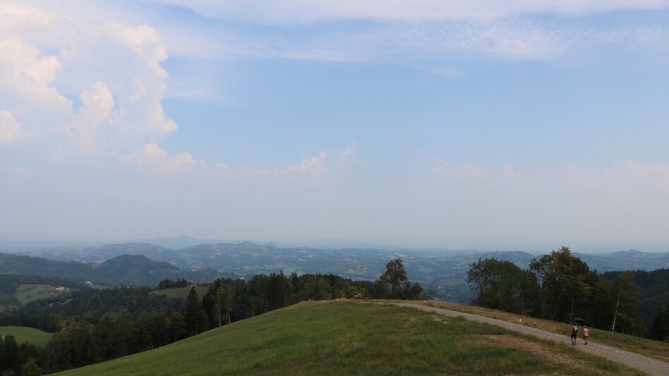 Wanderung Kleeblattwanderweg Nr. 1 - Wandern in Leutschach a.d.W. - Touren-Impression #2.5 | © Elisabeth Temmel
