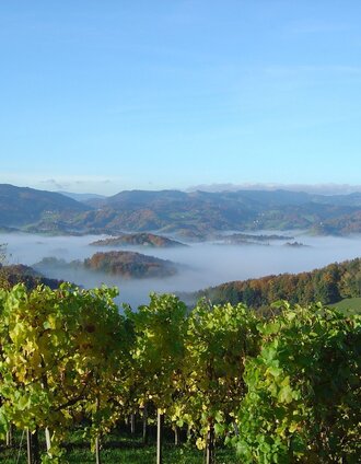kleeblattwanderweg nr. 4 - wandern in leutschach a.d.w._img_12702027 | Erlebnisregion Südsteiermark | © Erlebnisregion Südsteiermark