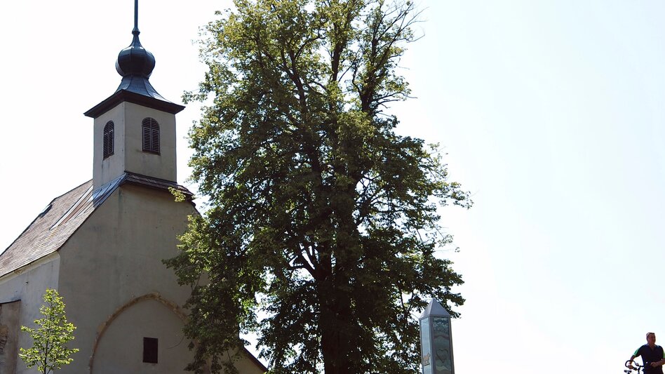 Hiking route Stage 19 From Glacier to Wine South Route Deutschlandsberg - Bad Schwanberg - Touren-Impression #2.3 | © Steiermark Tourismus/Gery Wolf