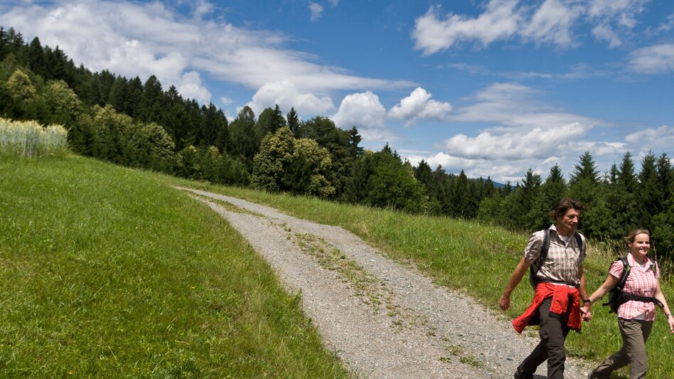 Hiking route Stage 19 From Glacier to Wine South Route Deutschlandsberg - Bad Schwanberg - Touren-Impression #2.5 | © Steiermark Tourismus/Leo Himsl
