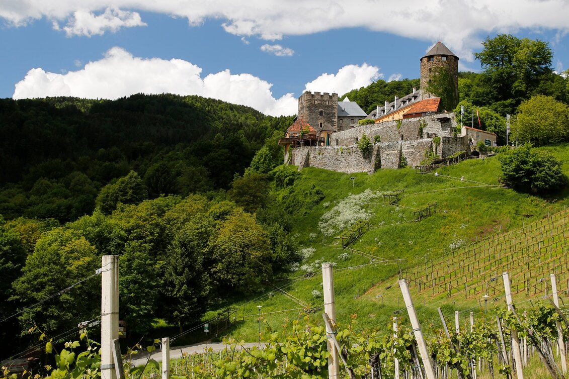 Hiking route Stage 19 From Glacier to Wine South Route Deutschlandsberg - Bad Schwanberg - Touren-Impression #1 | © (c) Steiermark Tourismus/Herbert Raffalt