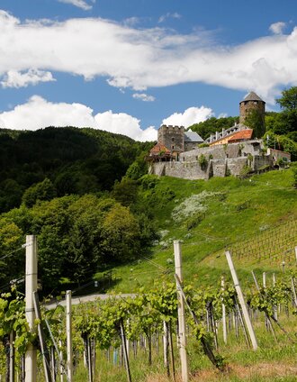 Herbert Raffalt | © (c) Steiermark Tourismus/Herbert Raffalt