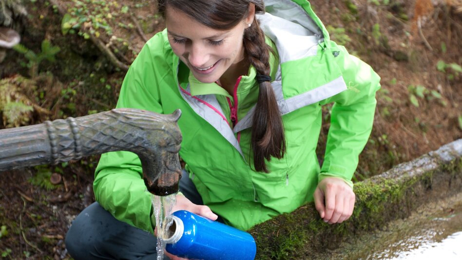 Hiking route Stage 19 From Glacier to Wine South Route Deutschlandsberg - Bad Schwanberg - Touren-Impression #2.4 | © Steiermark Tourismus/Harry Schiffer