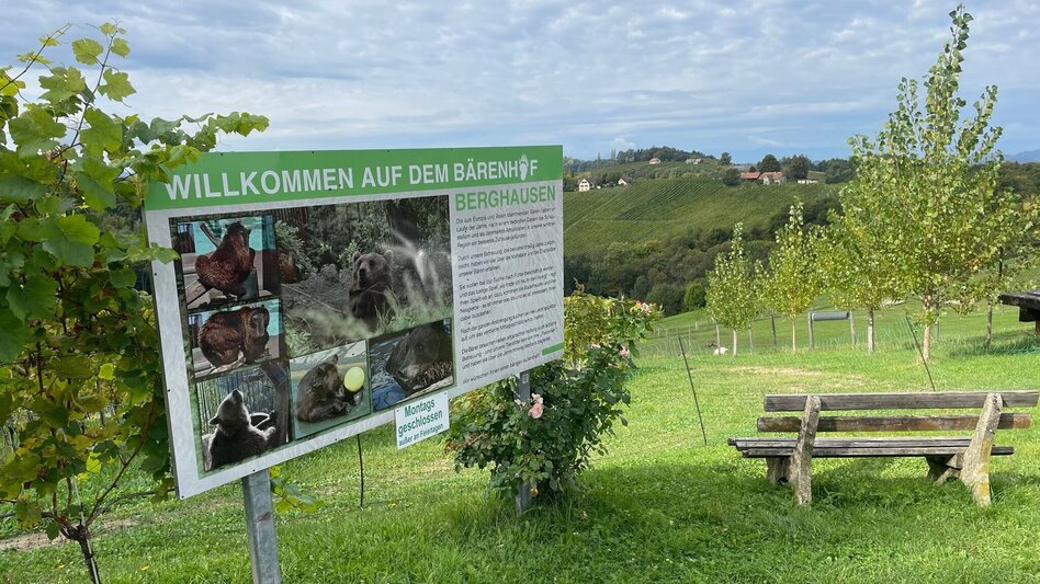 Hiking route Berghausner hiking tour 1 - Touren-Impression #2.2 | © TVB Südsteiermark/Brigitte Weihs