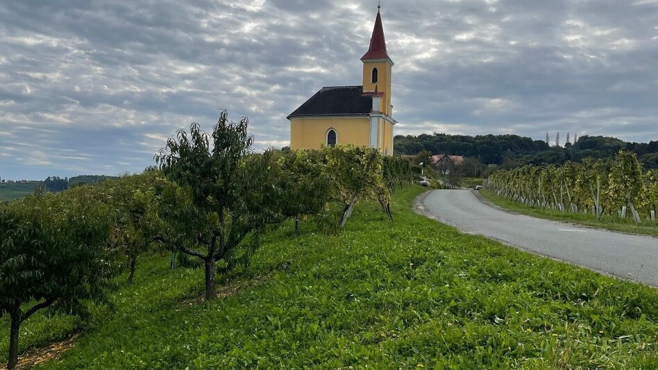 Hiking route Berghausner hiking tour 1 - Touren-Impression #2.3 | © TVB Südsteiermark/Brigitte Weihs