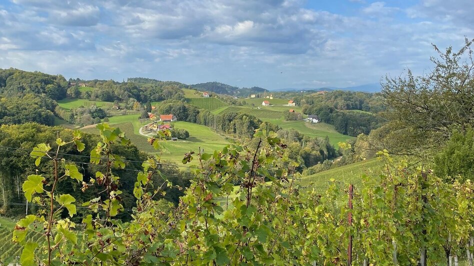 Hiking route Berghausner hiking tour 1 - Touren-Impression #2.1 | © TVB Südsteiermark/Brigitte Weihs