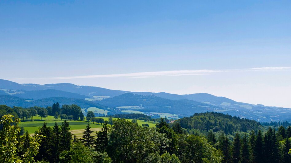 Wanderung Etappe 26 Vom Gletscher zum Wein Nordroute Anger - Pöllau - Touren-Impression #2.3 | © (c) Steiermark Tourismus/Leo Himsl
