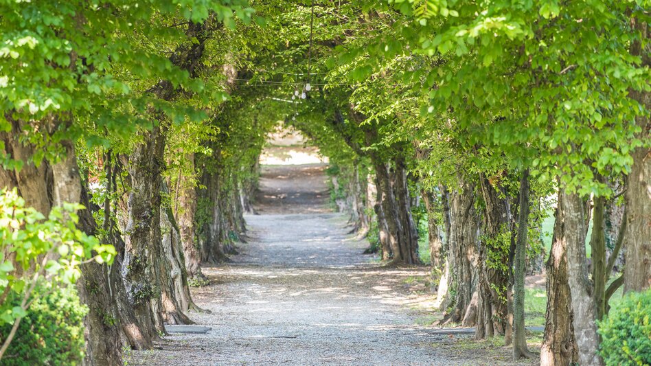 Wanderung Etappe 26 Vom Gletscher zum Wein Nordroute Anger - Pöllau - Touren-Impression #2.7 | © Oststeiermark Tourismus