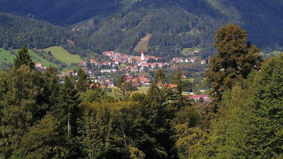 Wanderung Etappe 25 Vom Gletscher zum Wein Nordroute Almenland Brandlucken - Anger - Touren-Impression #2.5 | © (c) TV Apfelland-Stubenbergsee