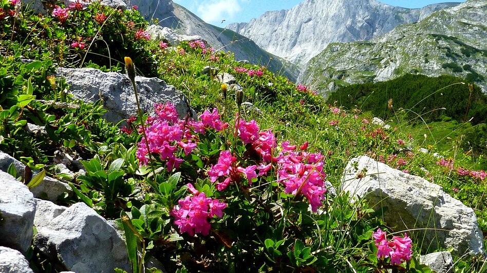 Wanderung Etappe 15 Vom Gletscher zum Wein Nordroute Hochschwab Schiestlhaus - Seewiesen - Touren-Impression #2.5 | © Andreas Steininger