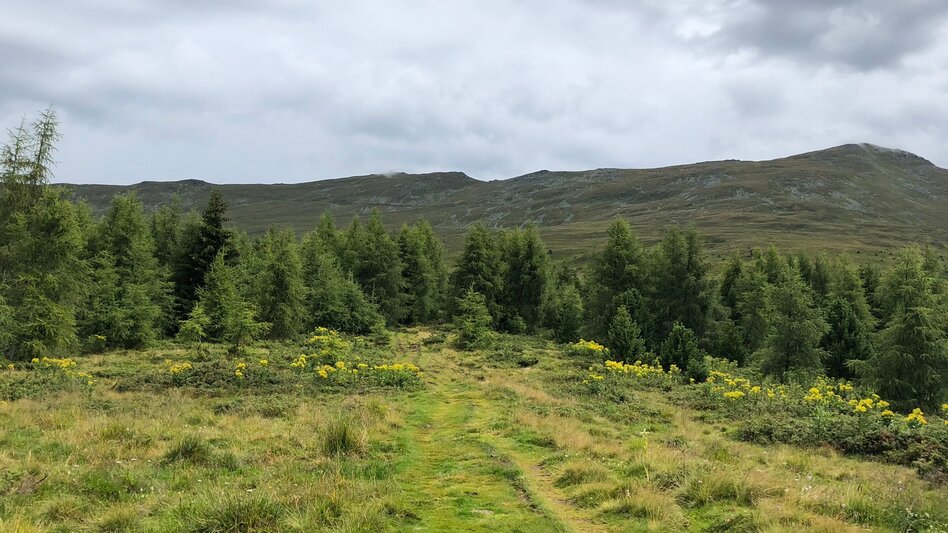 Hiking route Stage 14 From Glacier to Wine South Route Tonnerhütte Zirbitzkogel - Obdach - Touren-Impression #2.4 | © (c) Steiermark Tourismus/Martina Traisch