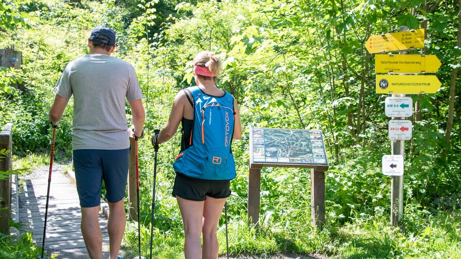 Hiking route Bruck Hochanger Loop via Susannen and Herrensteig Trails - Touren-Impression #2.4 | © TV Hochsteiermark