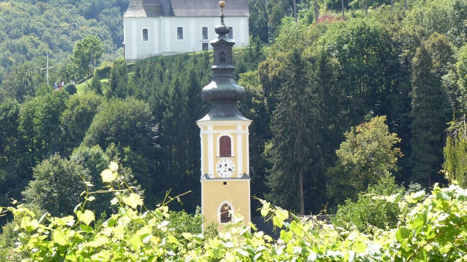Wanderung Buschenschank Moser-Weg Nr. 10 - Touren-Impression #2.2 | © TVB Südsteiermark/Christian Heugl