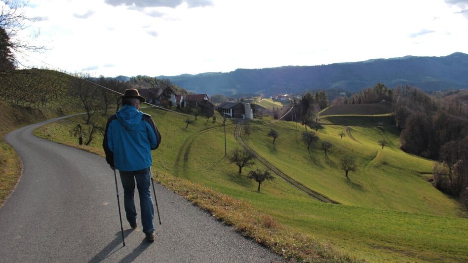 Wanderung Arnfelser Wege - Eichberg E1 - Touren-Impression #2.1 | © Ulrike Elsneg
