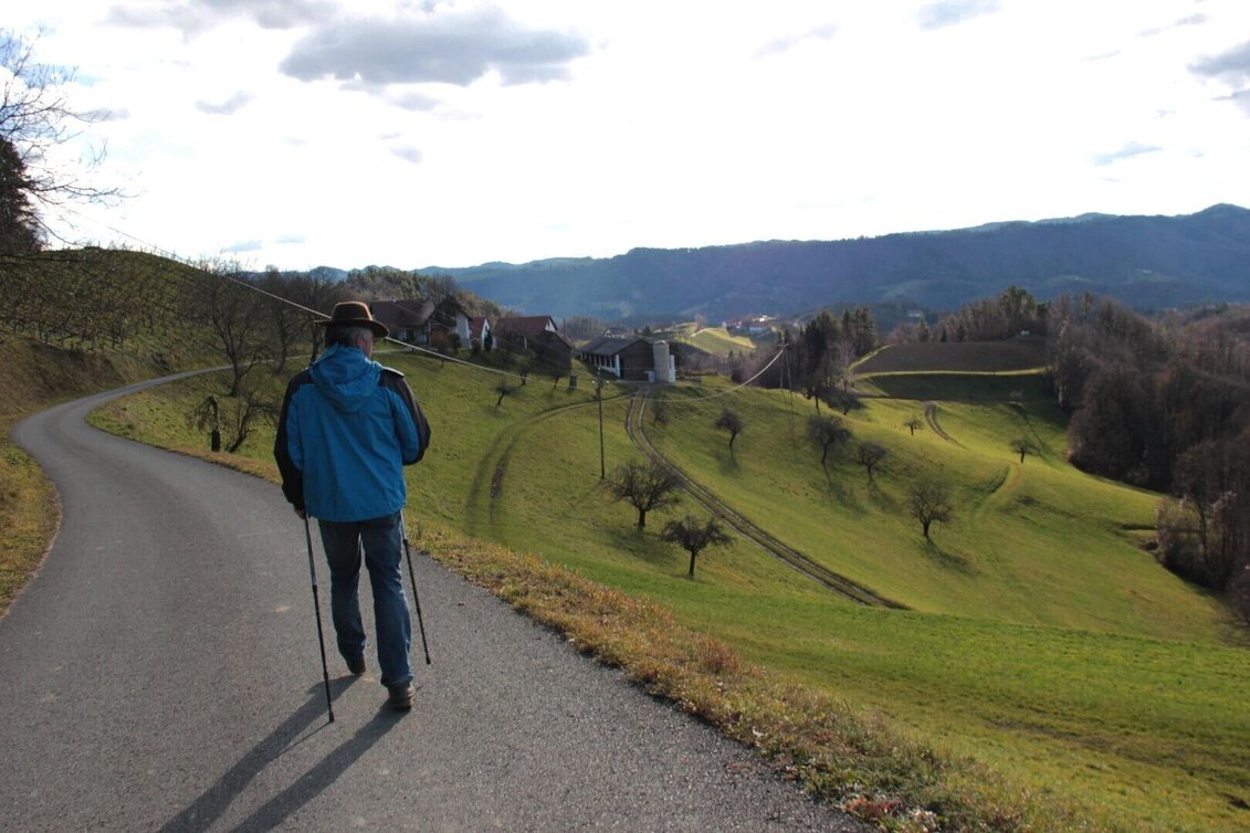 Wanderung Arnfelser Wege - Eichberg E1 - Touren-Impression #1 | © Ulrike Elsneg
