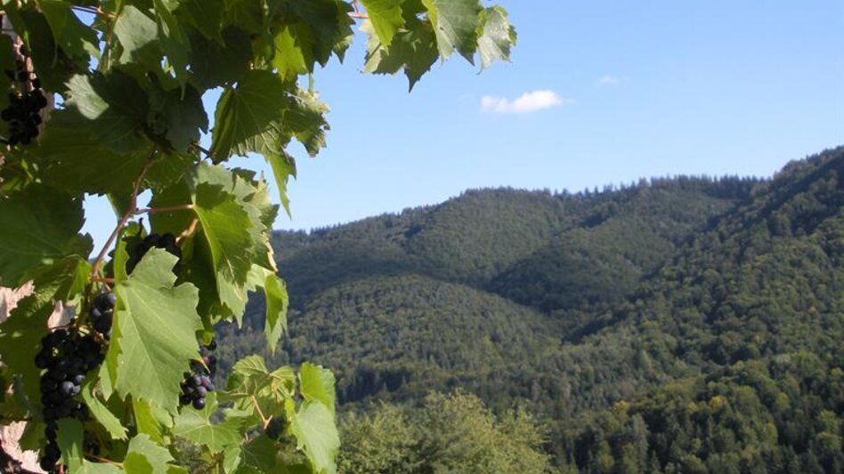 Wanderung Arnfelser Wege - Remschnigg R1 - Touren-Impression #2.2 | © Sunkihof | Sandra & Franz Zenz