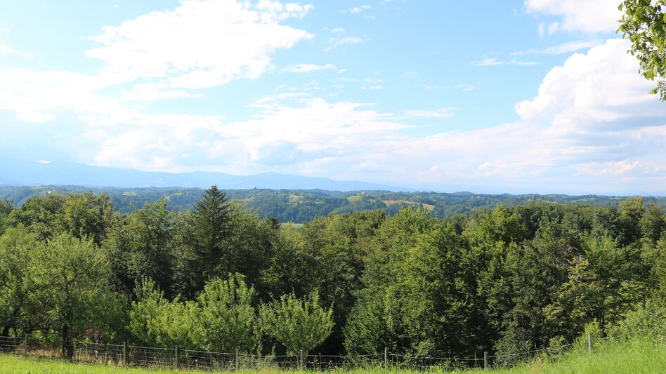 Wanderung Arnfelser Wege - Remschnigg R1 - Touren-Impression #2.3 | © Elisabeth Temmel