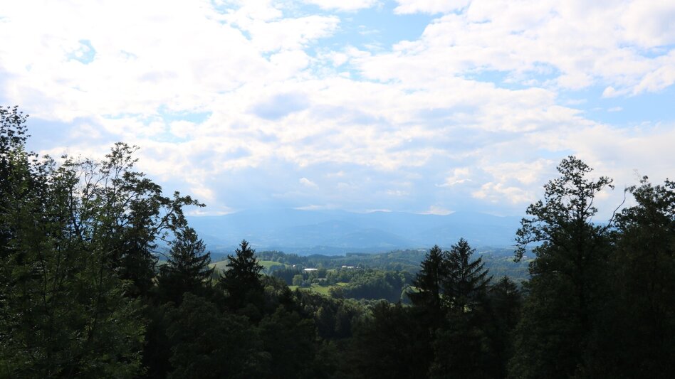 Wanderung Arnfelser Wege - Remschnigg R3 - Touren-Impression #2.4 | © Elisabeth Temmel