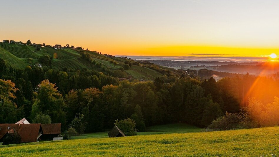 Wanderung GenussSchilchern DORT (mittel) - Touren-Impression #2.1 | © TVB Südsteiermark/Foto Augenblick