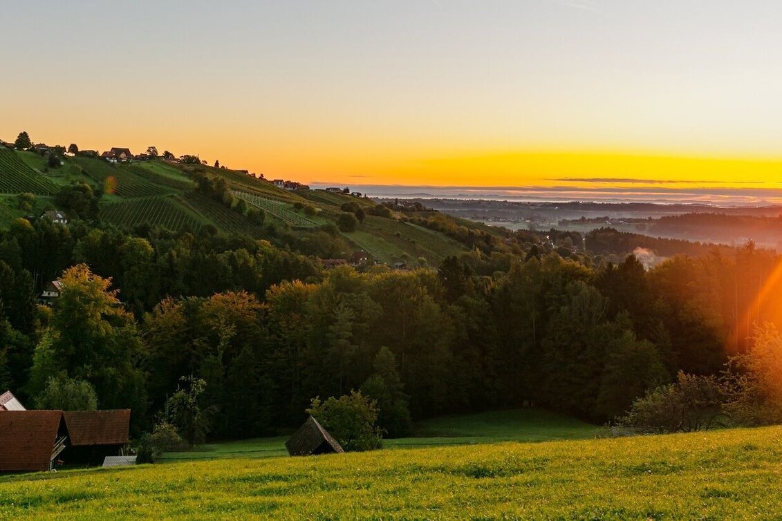 Wanderung GenussSchilchern DORT (mittel) - Touren-Impression #1 | © TVB Südsteiermark/Foto Augenblick