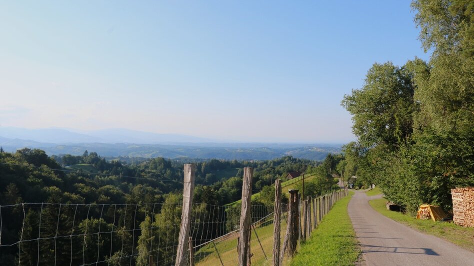 Wanderung Oberhaager Wege Nr. 4 - St. Pongratzenweg - Touren-Impression #2.3 | © Elisabeth Temmel