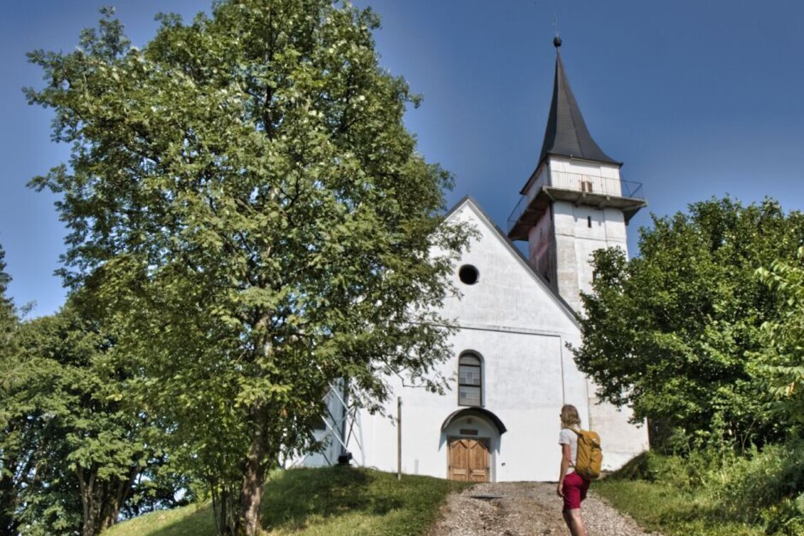 Wanderung Oberhaager Wege Nr. 4 - St. Pongratzenweg - Touren-Impression #1 | © WEGES