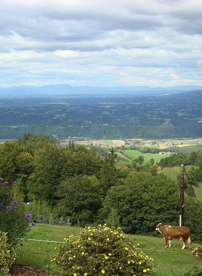 Panoramaschenke Tertinek Aussicht.jpg | © Panoramaschenke Tertinek | Panoramaschenke Tertinek | © Panoramaschenke Tertinek