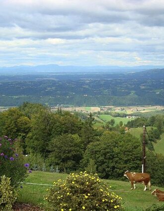 Panoramaschenke Tertinek Aussicht.jpg | Panoramaschenke Tertinek | © Panoramaschenke Tertinek
