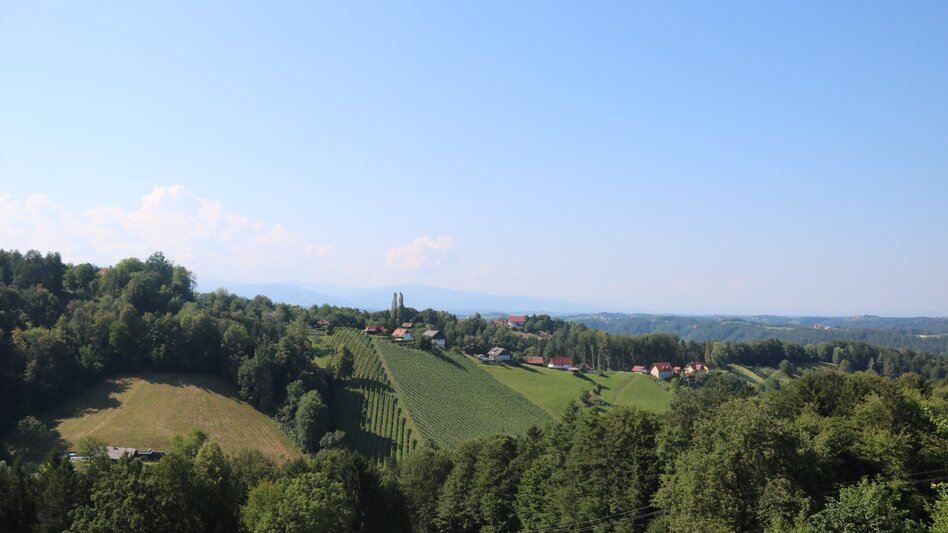 Wanderung Oberhaager Wege Nr. 1 - Aussichtstour an der Grenze - Touren-Impression #2.2 | © Elisabeth Temmel