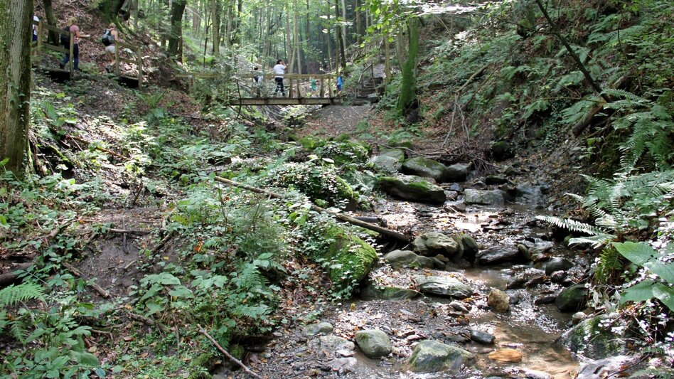 Wanderung Altenbachklamm  - Touren-Impression #2.2 | © TV Die Südsteirische Weinstraße/Ulrike Elsneg