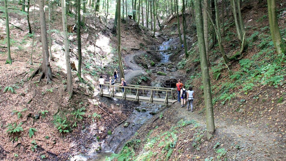 Wanderung Altenbachklamm  - Touren-Impression #2.1 | © TV Die Südsteirische Weinstraße/Ulrike Elsneg