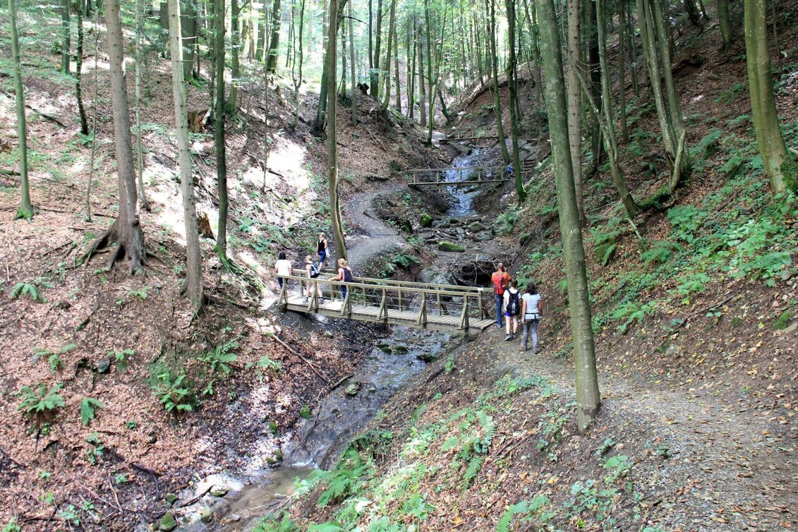 Wanderung Altenbachklamm  - Touren-Impression #1 | © TV Die Südsteirische Weinstraße/Ulrike Elsneg